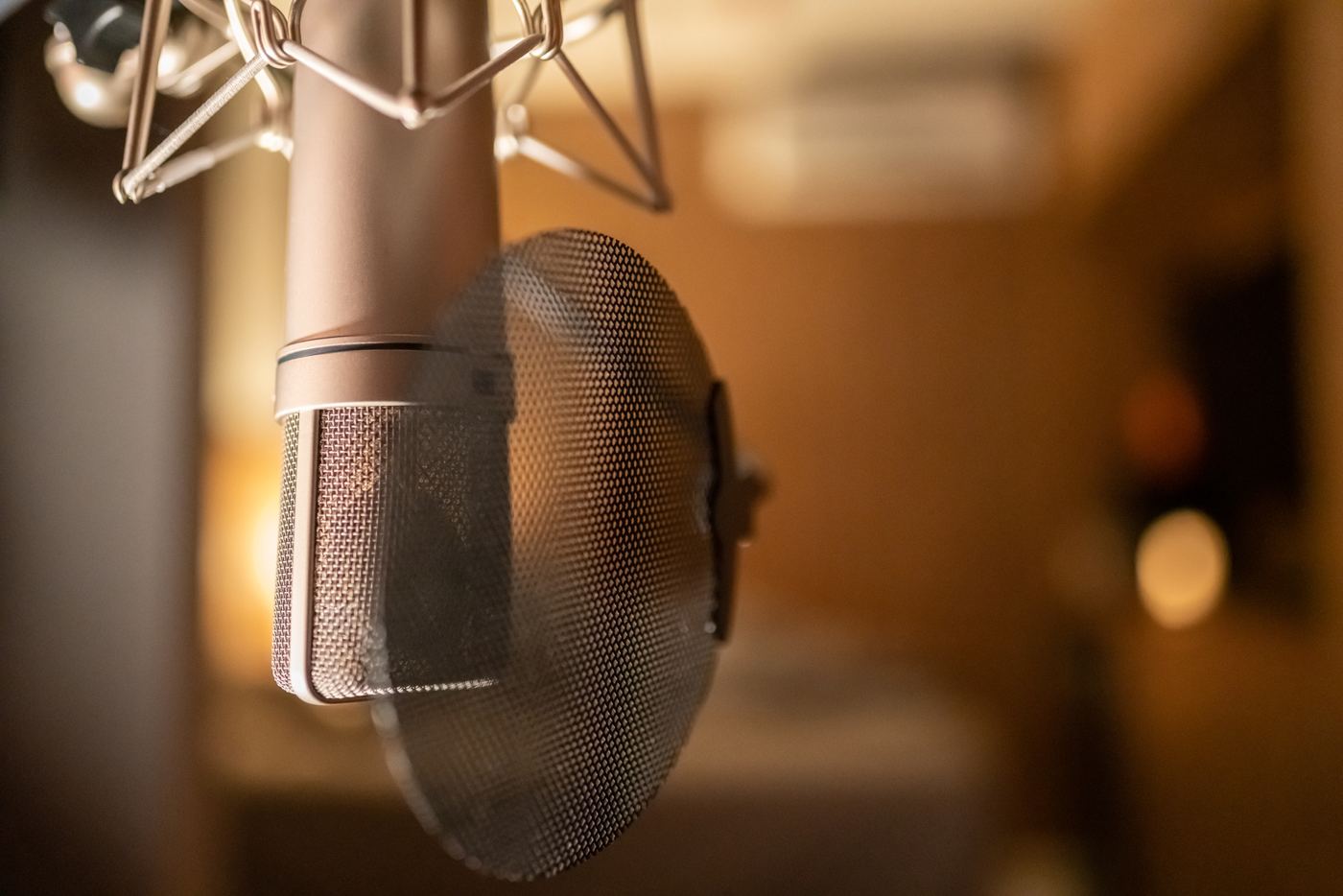 A studio condenser microphone with a pop filter in warm light